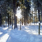 121224_012 copy