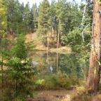 10-09 colors on pond 2 copy