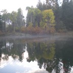 11-09 pond 9 copy