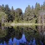 pond