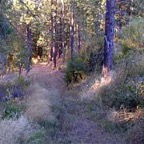 trailbyhouse