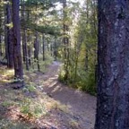 trailjustbelowdam