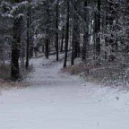 wintertrail